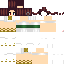 Texture for shann_fallendreamers_wip__