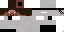 Texture for complete ninja steve