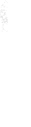 Texture for hó