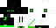 Texture for link 24