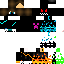 Texture for ninja