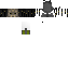 Texture for Predetor