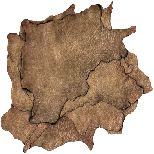 Texture for leather