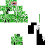 Texture for Trigger_Creeper