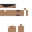 Texture for CAMEL2001