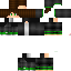 Texture for EdisonPts