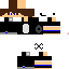 Texture for sr araña games