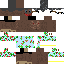 Texture for Rakitnicek dovolenka