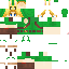 Texture for Link majora