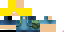 Texture for minebru123 finn