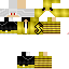 Texture for cat master