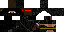 Texture for Ninja