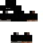 Texture for Ninja 2