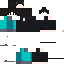 Texture for principal