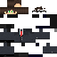 Texture for president2
