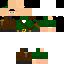 Texture for SKIN DO ROBINHOOD