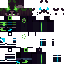 Texture for ds