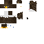 Texture for Owl