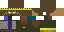 Texture for pim