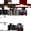 Texture for ds