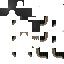 Texture for 1