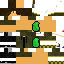 Texture for Springair