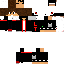 Texture for winslow