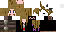 Texture for zx