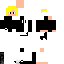 Texture for enderc7