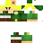 Texture for Link (TLoZ WW)