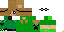 Texture for r466