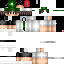 Texture for steve