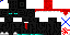 Texture for Enderman