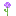 Texture for Allium