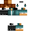 Texture for Robin