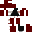 Texture for p