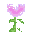 Texture for Pink Allium