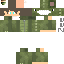 Texture for kaua protes dino