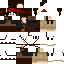Texture for ZenithZ Sparrow