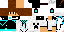 Texture for conquerant_80