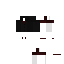 Texture for ds