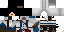 Texture for Assasin