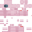 Texture for Austronaught pig 2