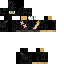 Texture for Ninja