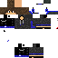 Texture for lansycat #2