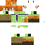Texture for Foxy