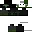 Texture for ShySpider