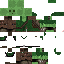 Texture for Vulkan