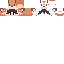 Texture for b