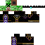 Texture for steve